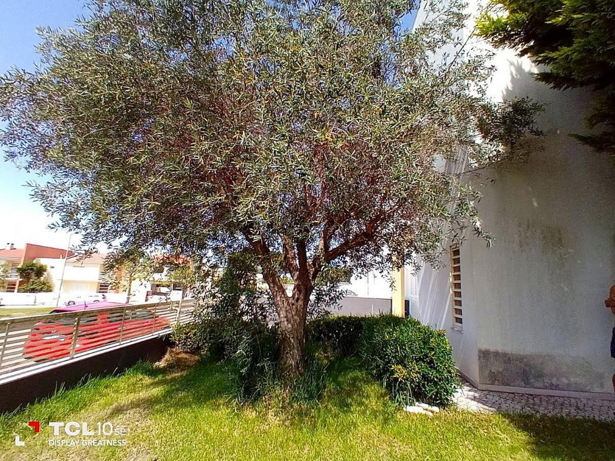 Sesimbra Charming Pool Duplex Bbk & Garden Villa Dış mekan fotoğraf